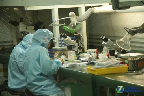 當投影邂逅AR 親歷者揭秘神畫科技工廠的魔法制造
